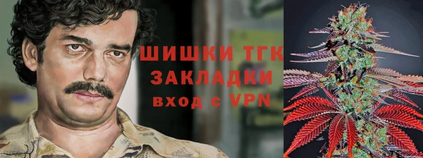 СК Волоколамск